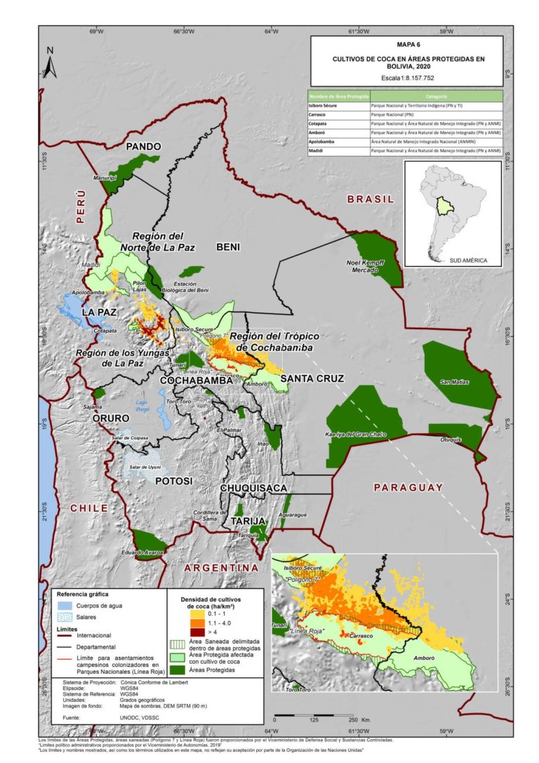 Coca En áreas Protegidas De Bolivia El Cultivo Aumentó 44 En 2020 Periodismo De Medio 6830