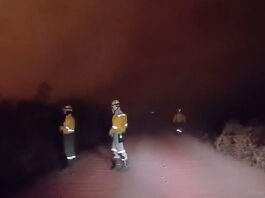 Los bomberos forestales enfrentan las llamas en seis municipios de Santa Cruz. Foto: Captura de video Gobernación de Santa Cruz