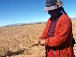 intensa sequía afectó el agro en Bolivia durante el año 2023. Foto: Ministerio de Desarrollo Rural de Bolivia.